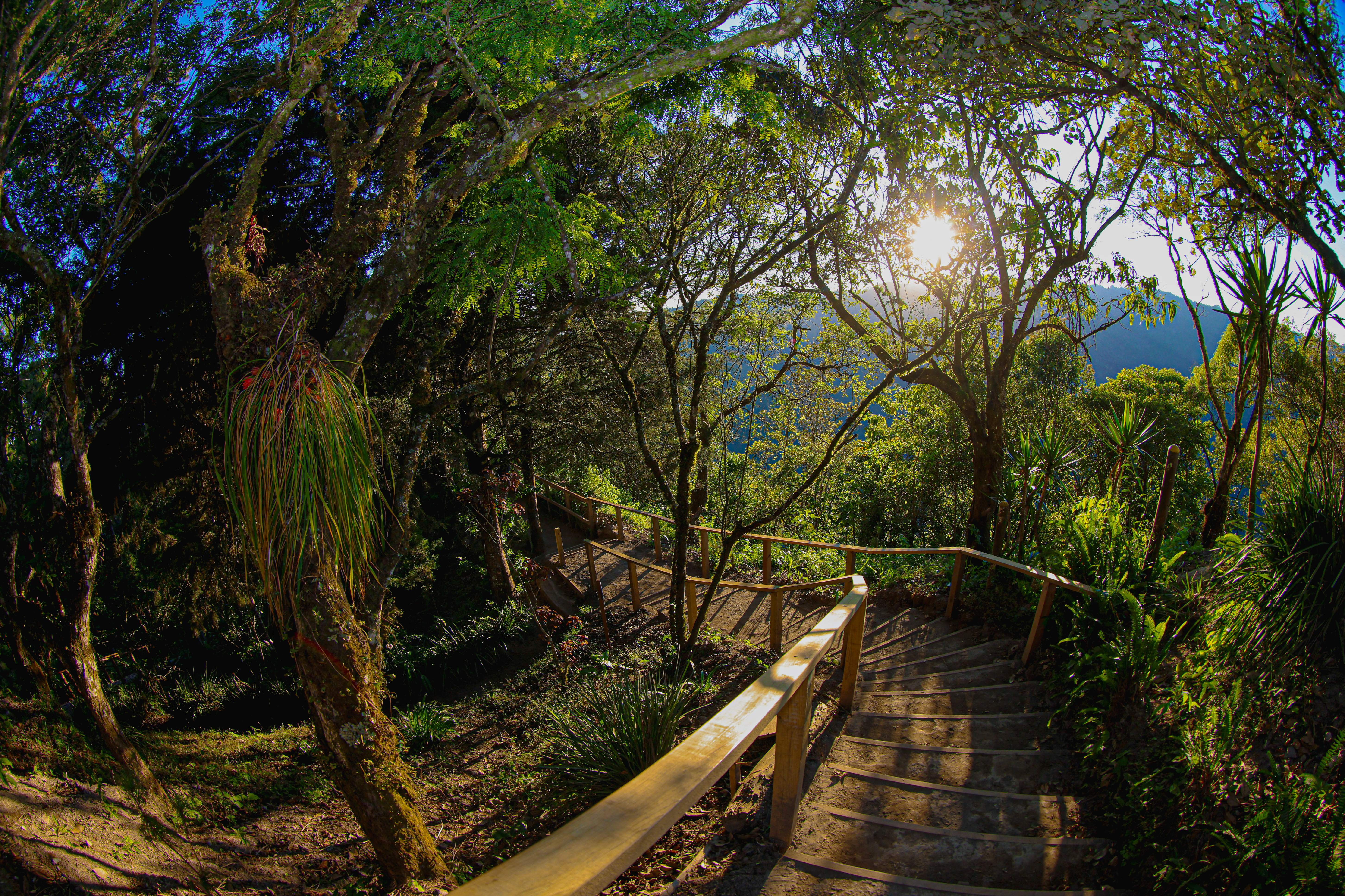 Photo from Parque Nacional El Boquerón